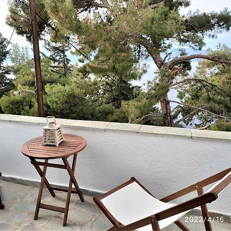 Pine Trees And Sea View Houses In Hydra - Daphne, Chloe, Myrto, Eleni Kamer foto