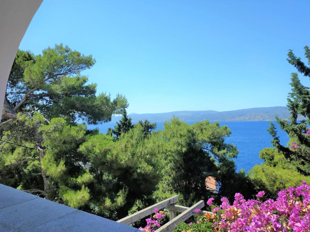 Pine Trees And Sea View Houses In Hydra - Daphne, Chloe, Myrto, Eleni Buitenkant foto