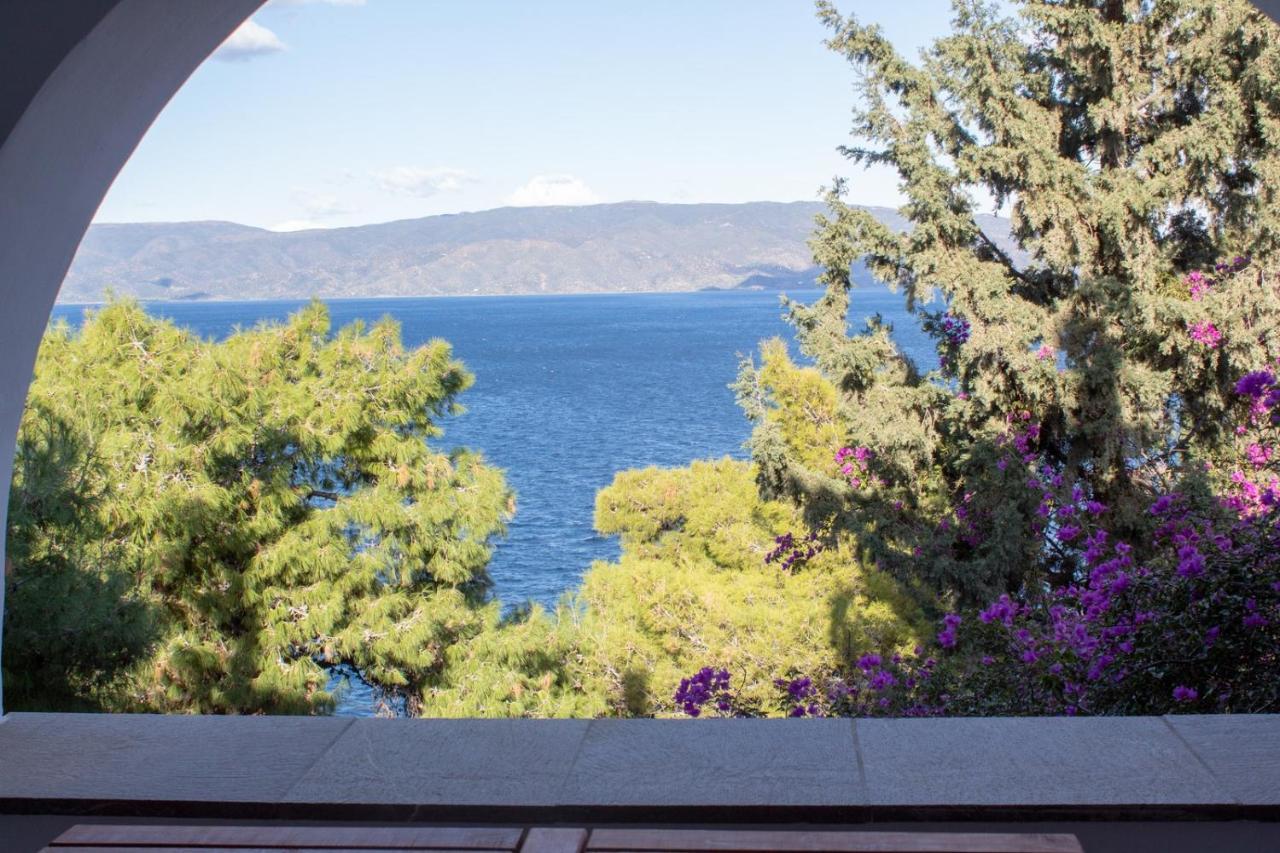 Pine Trees And Sea View Houses In Hydra - Daphne, Chloe, Myrto, Eleni Buitenkant foto