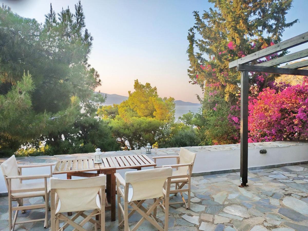 Pine Trees And Sea View Houses In Hydra - Daphne, Chloe, Myrto, Eleni Buitenkant foto
