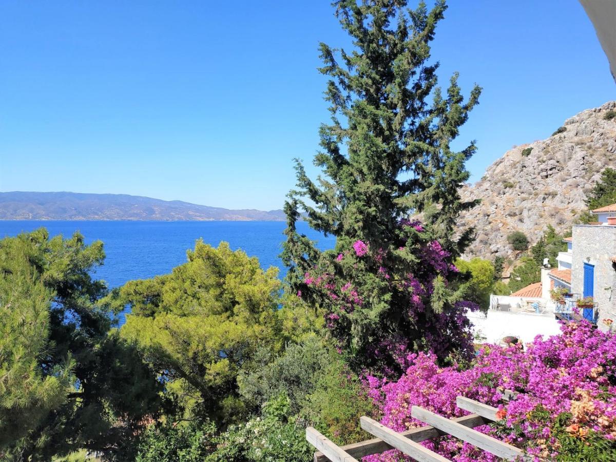 Pine Trees And Sea View Houses In Hydra - Daphne, Chloe, Myrto, Eleni Buitenkant foto