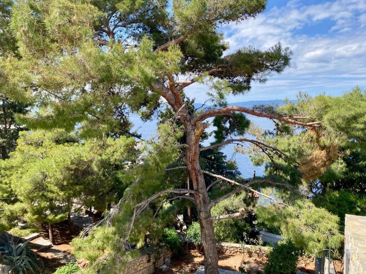 Pine Trees And Sea View Houses In Hydra - Daphne, Chloe, Myrto, Eleni Buitenkant foto