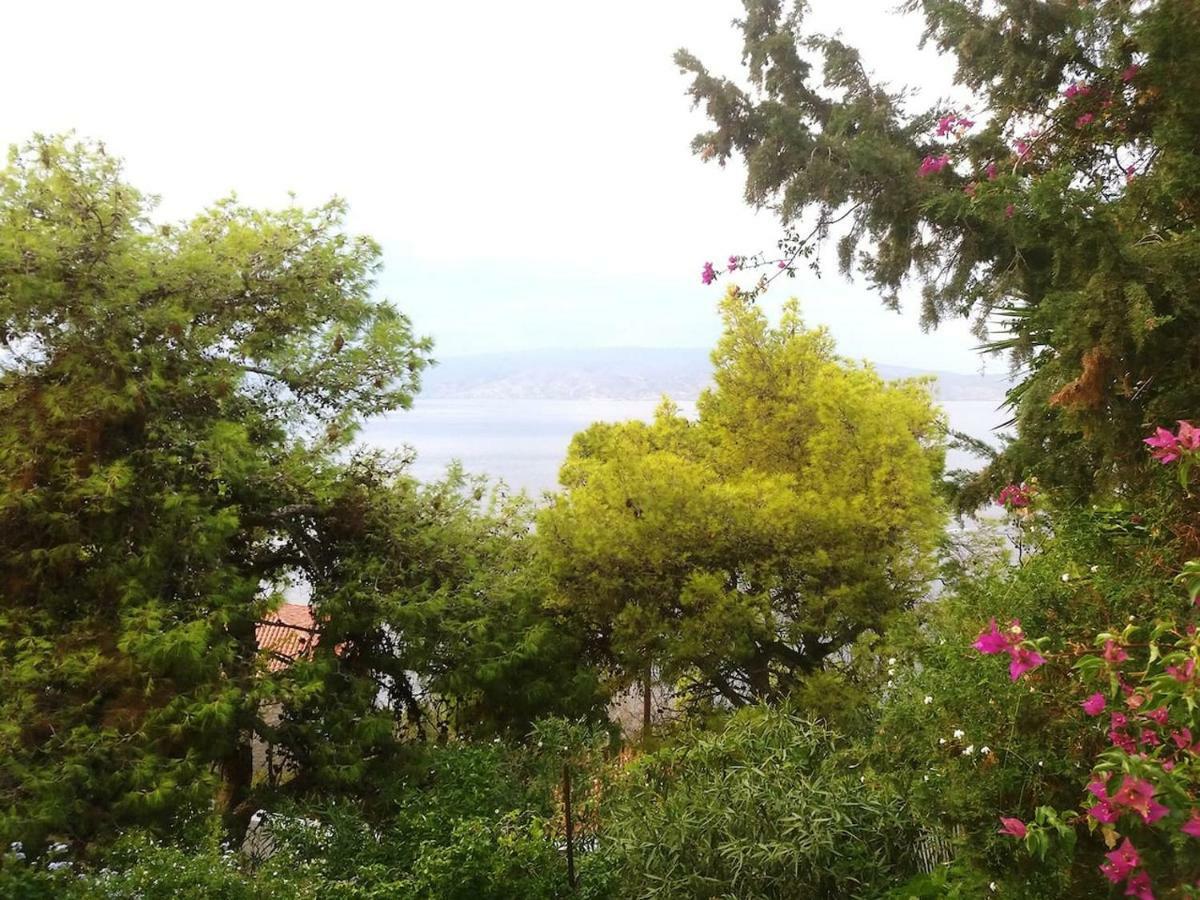 Pine Trees And Sea View Houses In Hydra - Daphne, Chloe, Myrto, Eleni Buitenkant foto