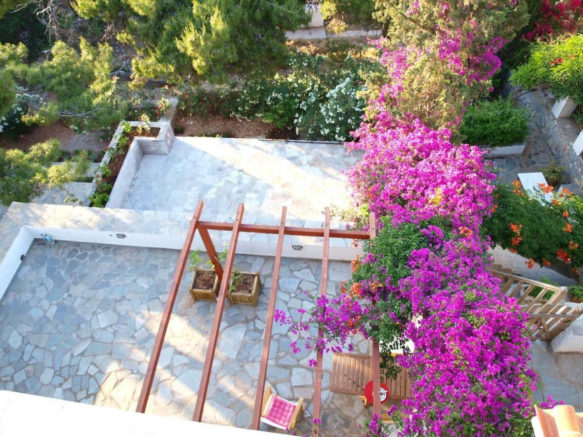 Pine Trees And Sea View Houses In Hydra - Daphne, Chloe, Myrto, Eleni Buitenkant foto